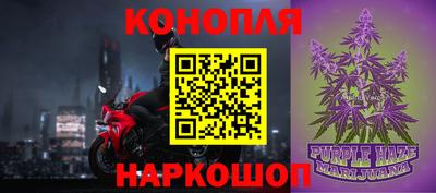 сатива Кингисепп