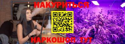 сатива Кингисепп