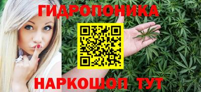 сатива Кингисепп