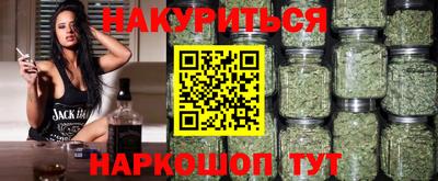 сатива Кингисепп