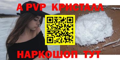 сатива Кингисепп