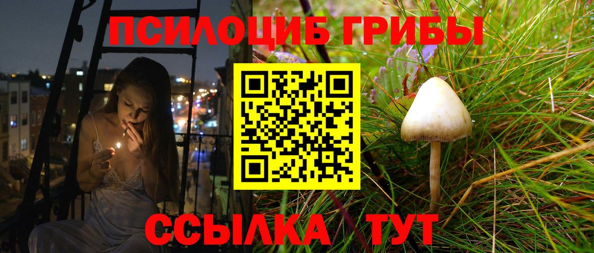 Галлюциногенные грибы MAGIC MUSHROOMS Кирово-Чепецк